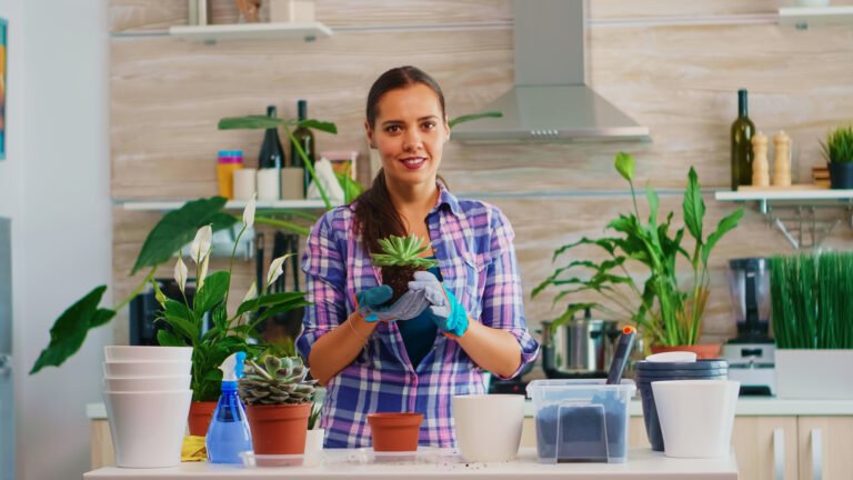 Smart Kitchen Upgrading Advice Mintpalment: ultimate guidelines